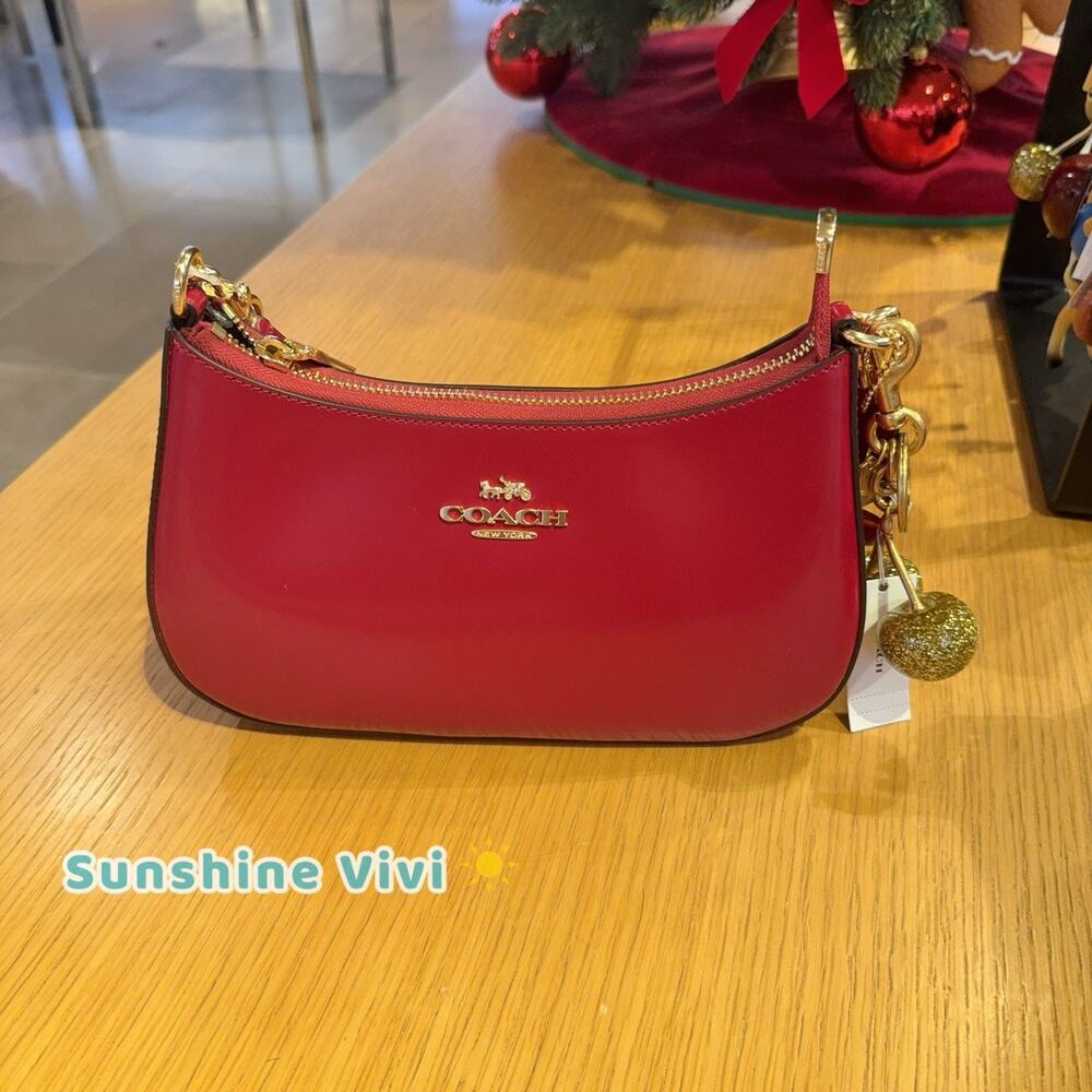 NWT Bundle Coach CV938 Teri Bold Red & Cherry Bag Charm chain 77840 Gold Brass - Picture 10 of 13